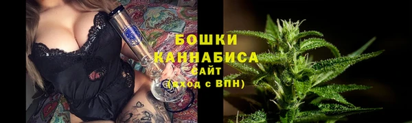 прущие грибы Арсеньев