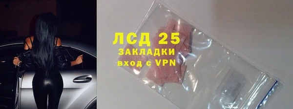 прущие грибы Арсеньев