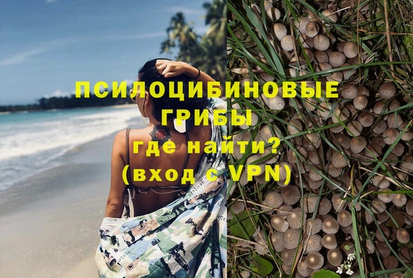 прущие грибы Арсеньев