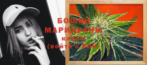 прущие грибы Арсеньев