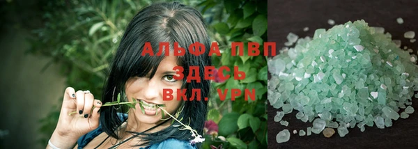 прущие грибы Арсеньев