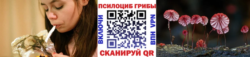 Псилоцибиновые грибы мухоморы  наркошоп  Мытищи 